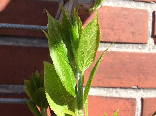 image72081429176588.jpg