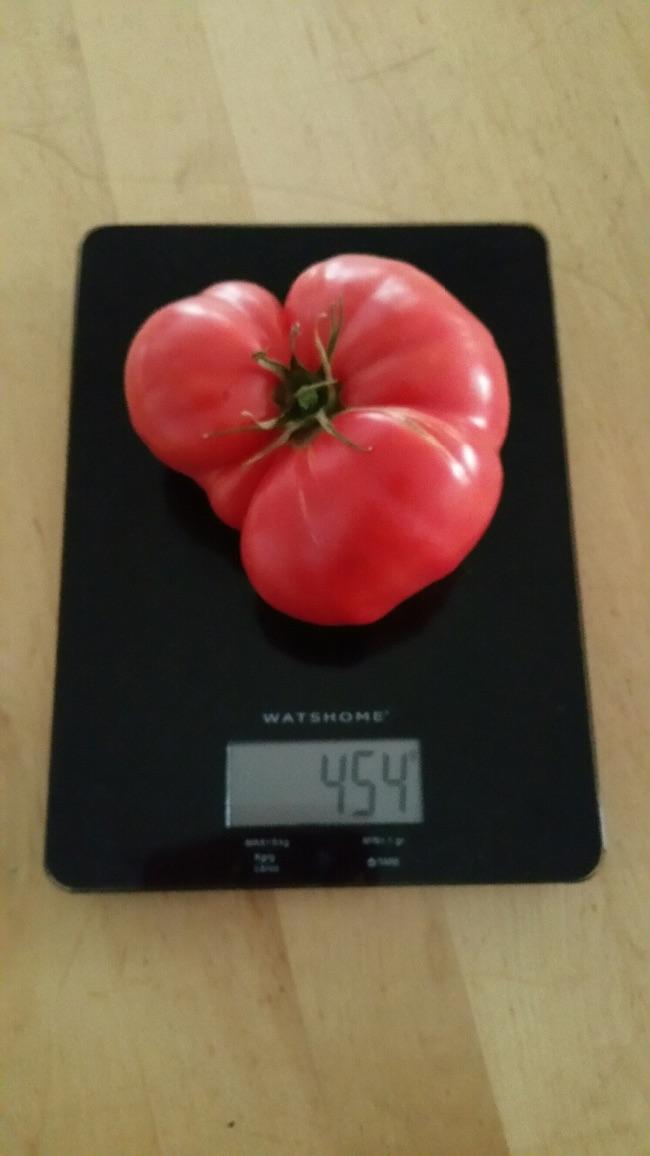 image73101472988919.jpeg