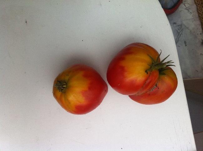 image73821409258482.jpg