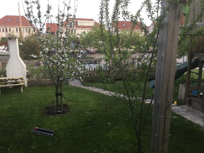 image74061462819820.jpg