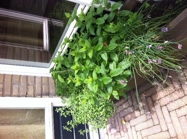 image75781390989804.jpg