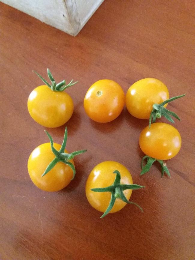 image76121531334187.jpeg