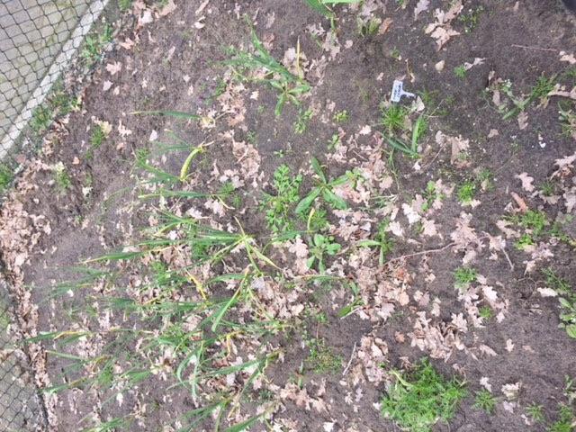 image76141461014815.jpeg