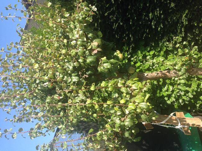 image76511473257497.jpeg