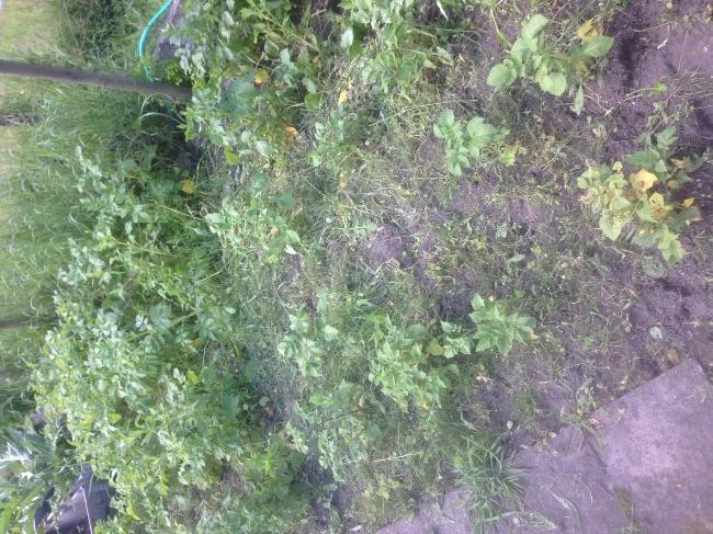 image76521466344427.jpg
