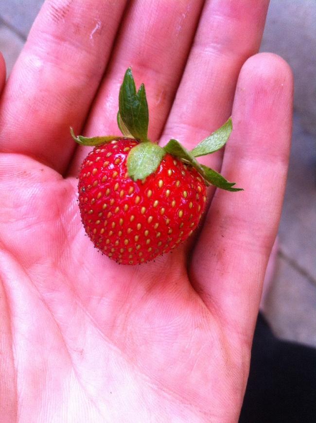 image77731433674715.jpg