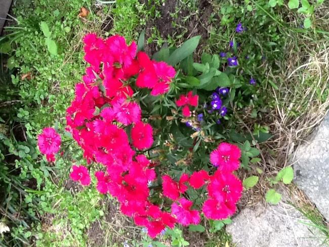 image79631381306597.jpg