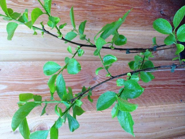 image80471401309402.jpg