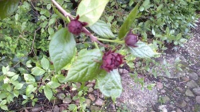 image82031391157335.jpg
