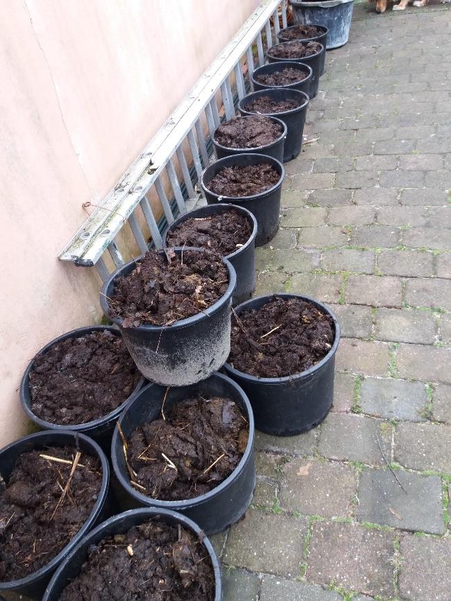 image83391553098274.jpeg