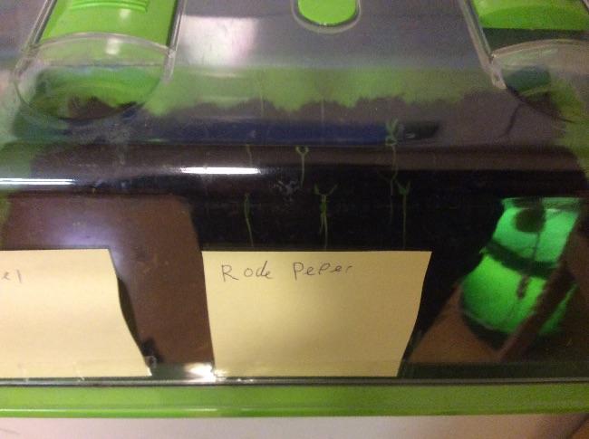 image85761422376785.jpg