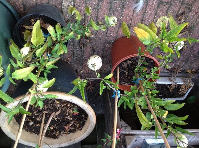 image85891377280229.jpg