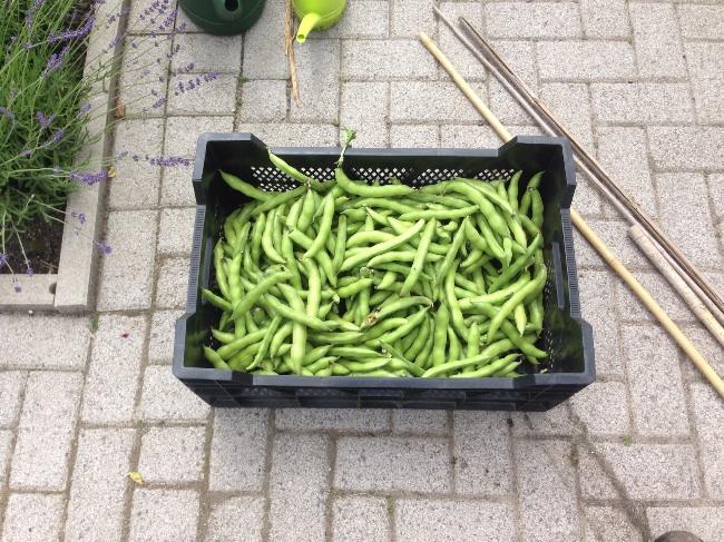 image87001402832604.jpg