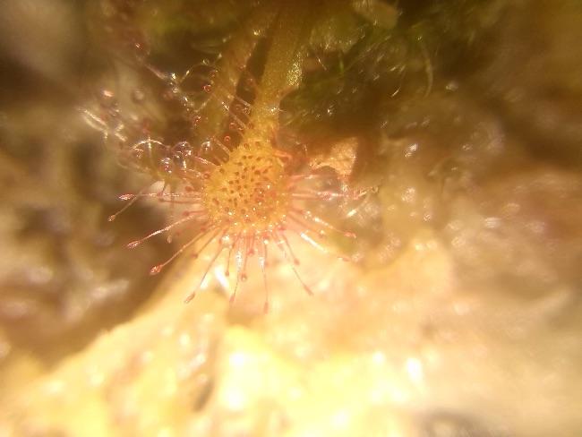 image87821434885351.jpg