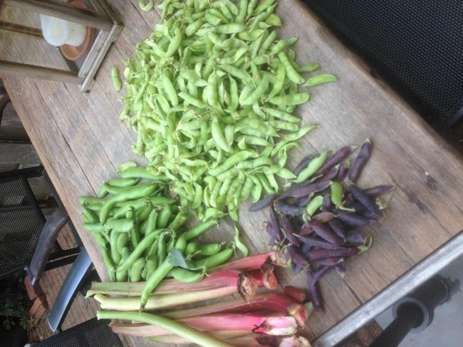 image87821467531271.jpg