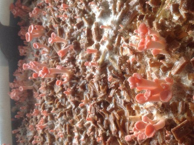 image88001391504070.jpg