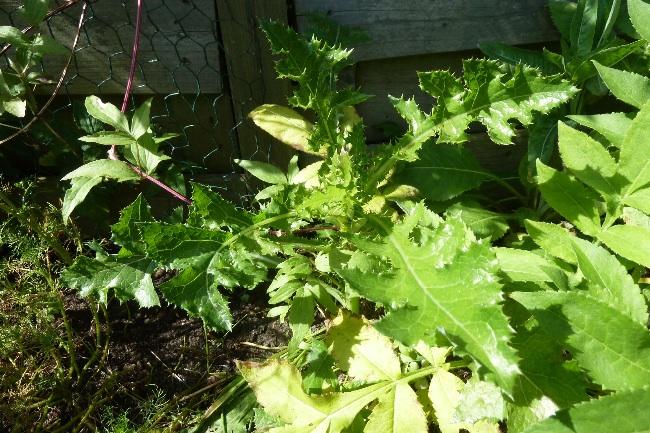 image88031400270378.jpg