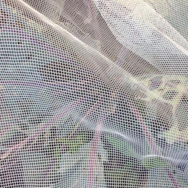 image89101437514225.jpg
