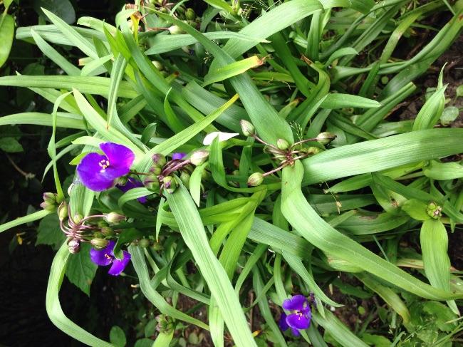 image90191435408103.jpg