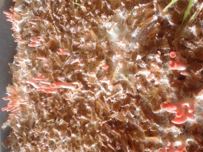image90721391329595.jpg