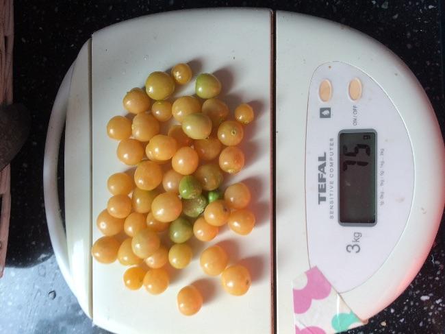 image91181471803392.jpeg