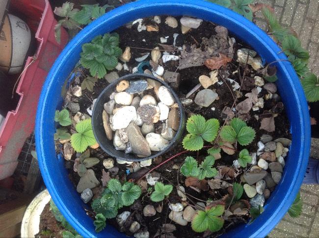 image94951395423489.jpg