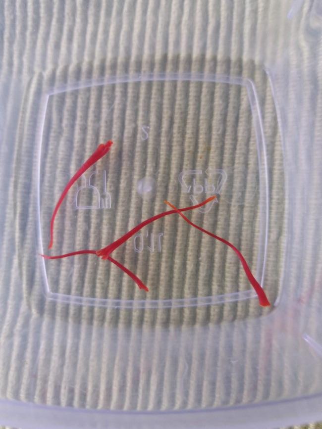 image96511571657640.jpeg