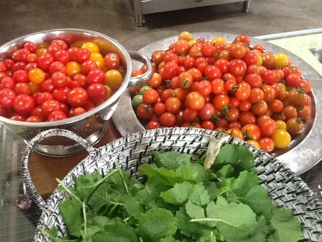image96581378062298.jpg
