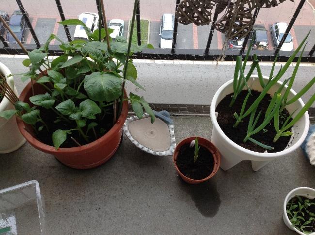 image96801398358042.jpg