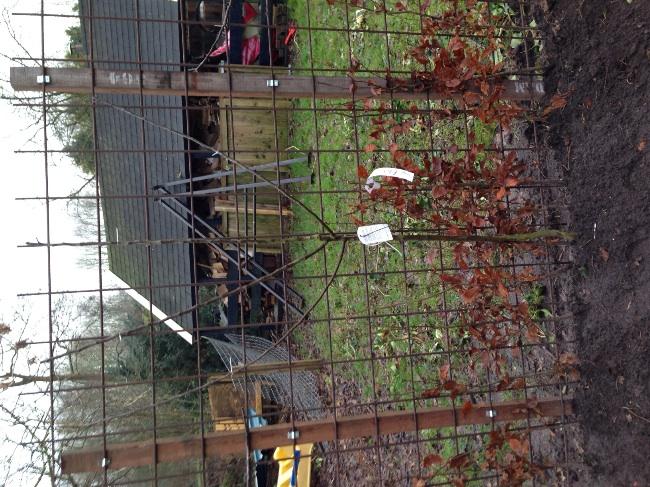 image99891391327540.jpg