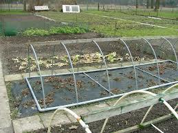 images-(15)67181371245003.jpg