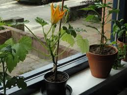 images44221372003412.jpg