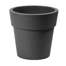 images93051549109151.jpeg