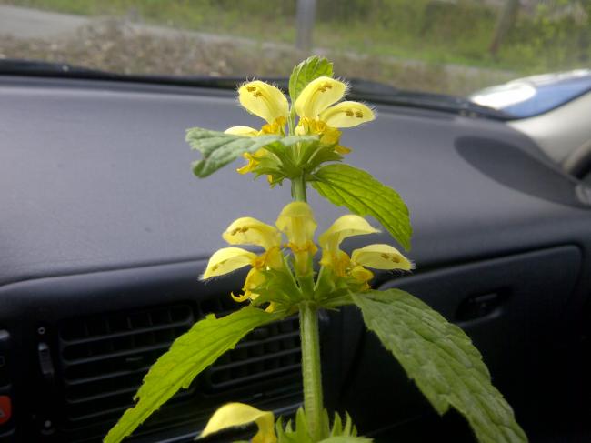 img-20120424-0003895771335302901.jpg