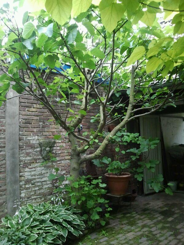 img-20130217-wa000237131361107198.jpg