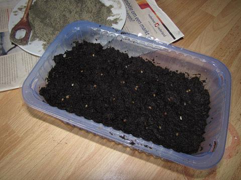 img0001k53961334296522.JPG