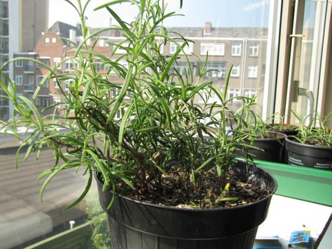 img0081k17951347107158.JPG