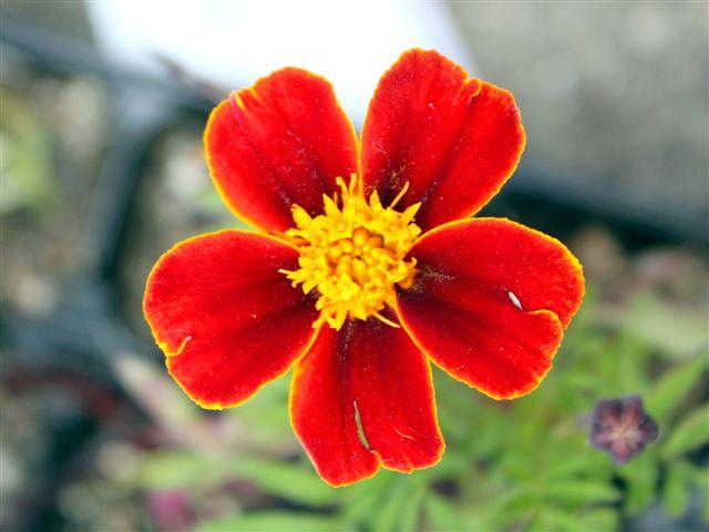 img0396-b-10-638791339421407.jpg