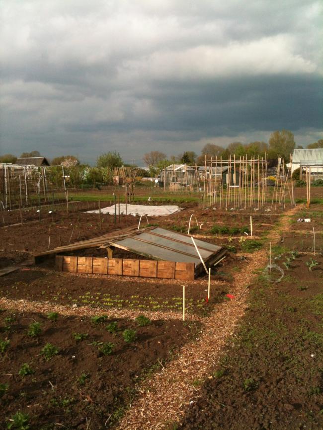 img050292011368038167.jpg