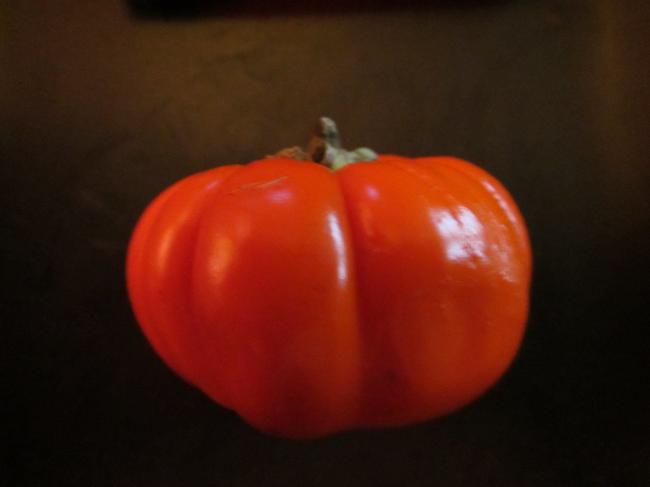 img064542011349440766.JPG