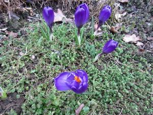img0946resize68441330791395.JPG
