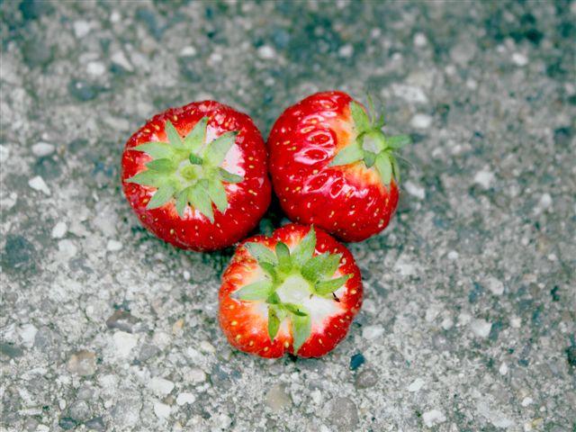 img1046-b-24-6-weer-een-paar-aardbeitjes-(2)49361340556602.jpg