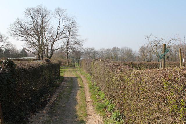 img127248111361537166.jpg