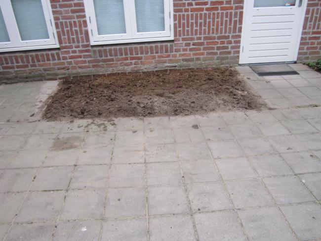img141768821365104017.JPG