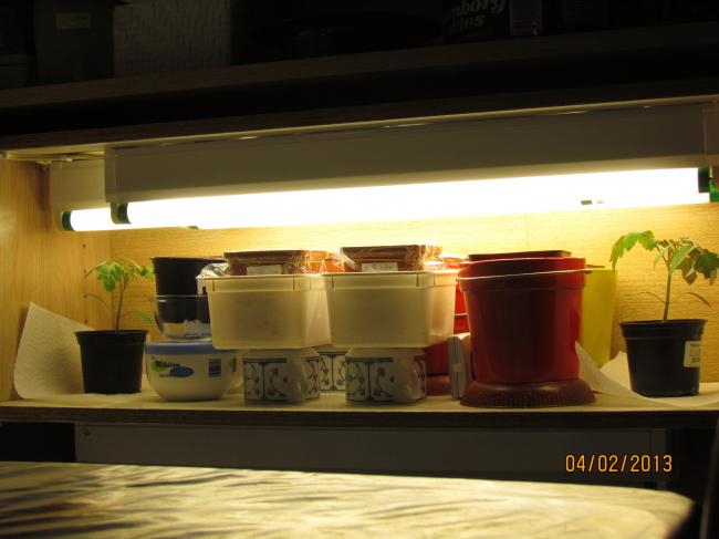 img157718371360013137.JPG