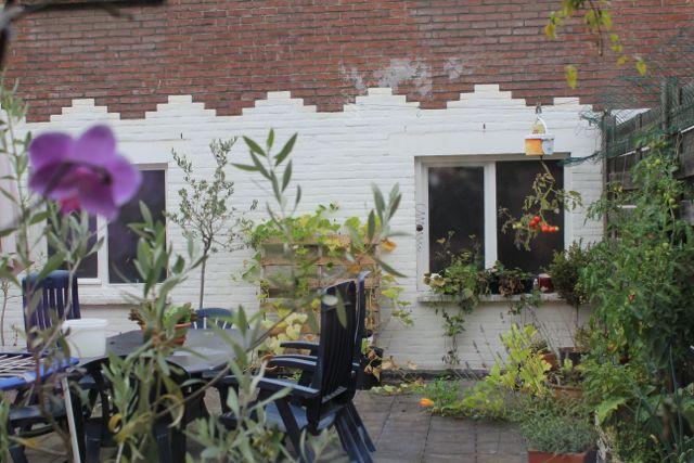 img168065511361537166.jpg