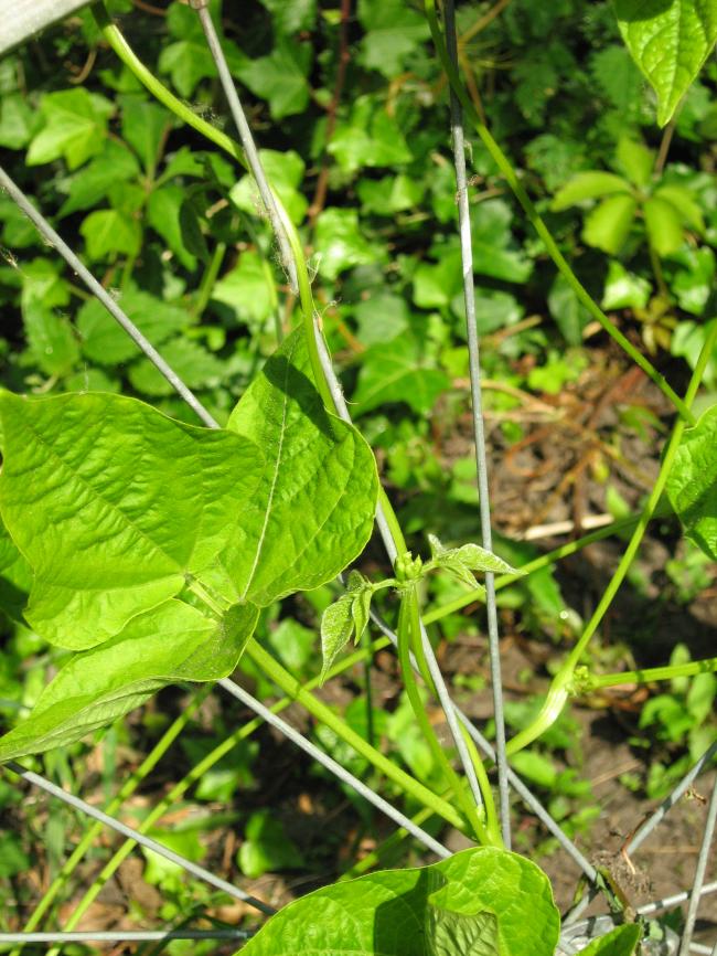 img173755131339783745.JPG