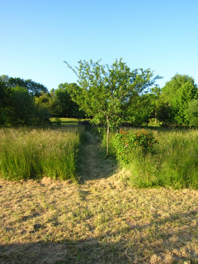 img174378641370540018.JPG