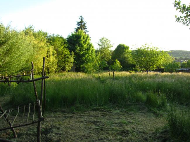 img177295271370540164.JPG