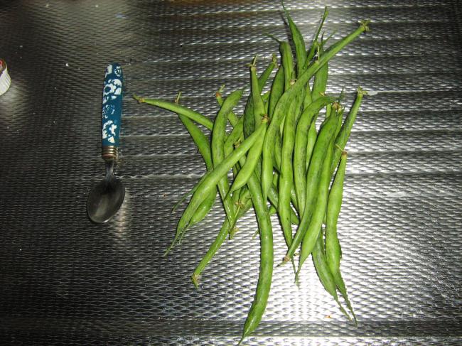img178429731342374180.JPG
